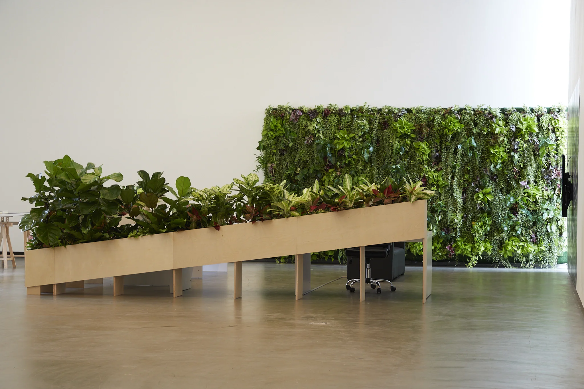 Ho rui an,  A Petropolis in a Garden with A Long View, 2024. Video installation with laser etched crystal, acrylic awards, books, globe-shaped bookends, office table and chair, wall shelves, planter boxes, assorted plants and wallpaper. , Dimension variable.. Photo: Thakueng Withusuwan. Courtesy of the Jim Thompson Art Center and the James H.W. Thompson Foundation © Jim Thompson Art Center